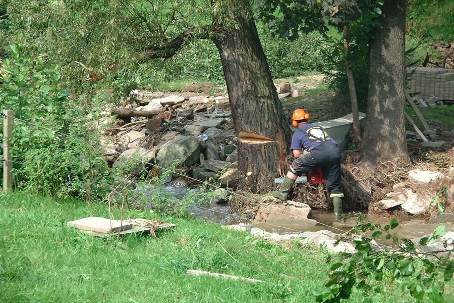 2002 - Elbeflut in Mulda/Sachsen